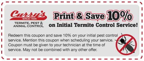 termite coupon