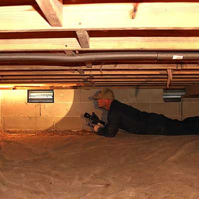 Inspecting Crawl Space for Termites Curry employee performing a termite inspection in crawl space of home